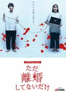 We Are Just Not Divorced