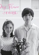 Dried Flower: Our Room in July