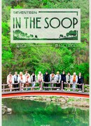 Seventeen in the Soop
