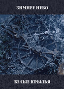 Winter Sky and White Wings