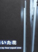 Thirsty Flower: four by four equal one