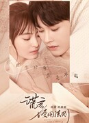 Better a Lie Than a Truth