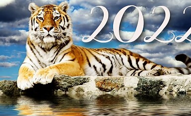 Встречаем Новый 2022 год, Год Тигра