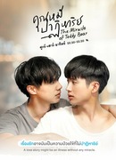 The Miracle of Teddy Bear