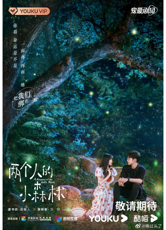 дорама A Romance of The Little Forest (Роман в маленьком лесу: Liang Ge Ren De Xiao Sen Lin) 05.09.22