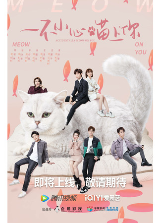 дорама Accidentally Meow On You (Случайный мяу: Yi Bu Xiao Xin Miao Shang Ni) 22.12.22