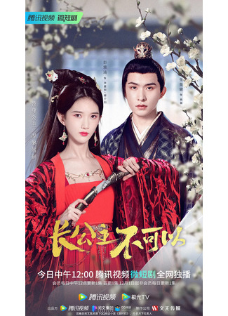 дорама Revenge of Royal Princess (Только не принцесса: Zhang Gong Zhu Bu Ke Yi) 28.12.22