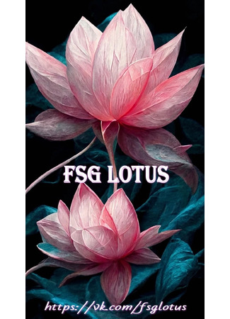 Переводчик FSG Lotus 15.01.23