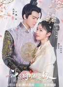 Detective Husband I've Never Met