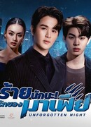 Unforgotten Night