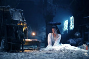 A Chinese Ghost Story: The Enchanting Phantom