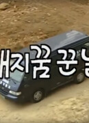 Best Theater: The Day I Dreamed of a Pig