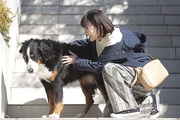 Shikkou!!: Dog, Me and the Enforcer
