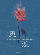 A Seagull Far From the Sea