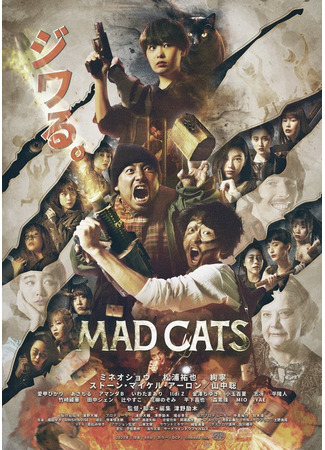 дорама Mad Cats (Бешеные кошки) 24.06.24