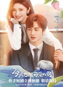 A Nice Day to Be a Bird