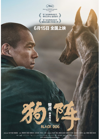 дорама Black Dog (Черный пёс: Gou Zhen) 18.07.24