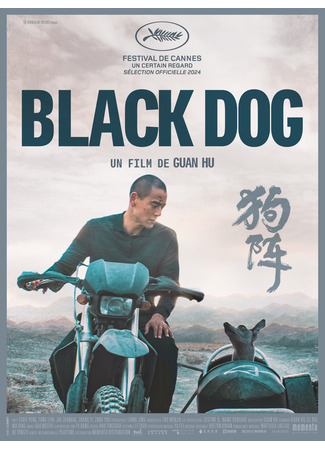 дорама Black Dog (Черный пёс: Gou Zhen) 18.07.24