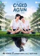 Снова в клетке