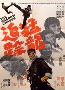 Охотник за тенью