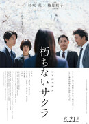 Вечная сакура