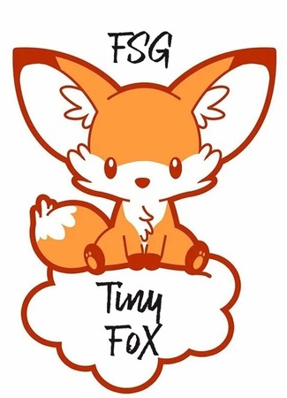 Переводчик FSG Tiny Fox 30.12.24