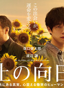 Подсолнух на доске для сёги (2025)