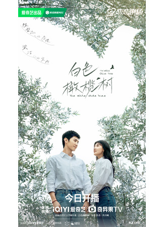 дорама The White Olive Tree (Белое оливковое дерево: Bai Se Gan Lan Shu) 01.02.25