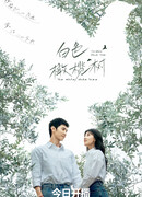 The White Olive Tree