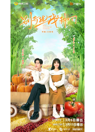 дорама Don&#39;t Disturb Me Farming (Не беспокой меня на ферме: Bie Da Rao Wo Zhong Tian) 15.02.25