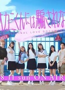 В поисках хищника