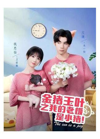 дорама Мой босс - свинка (The ceo is a pig: Jin Zhu Yu Ye Zhi Wo De Lao Ban Shi Xiao Zhu) 11.03.25