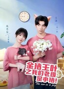 Мой босс - свинка