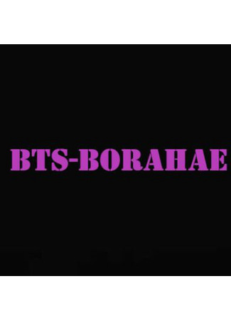 Переводчик BTS-BORAHAE 11.04.25