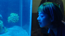 Green Night