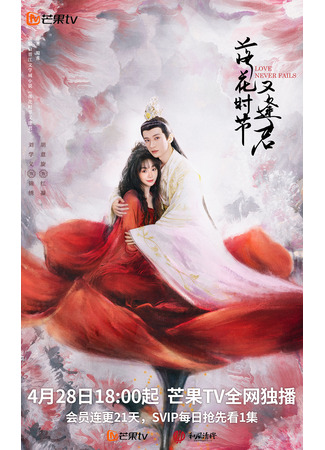 дорама Love Never Fails (Когда цветы опадут, мы встретимся вновь: Luo Hua Shi Jie You Feng Jun) 28.04.25