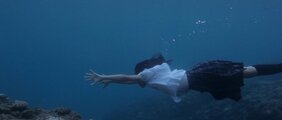 Still the Water