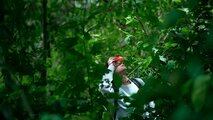 Lost in the Woods