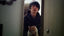 Stray Cats