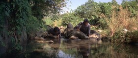 Monkey Kung Fu