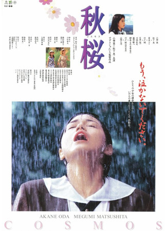 дорама Осеннее цветение вишни (Autumn Cherry Blossoms: Akisakura) 18.07.25