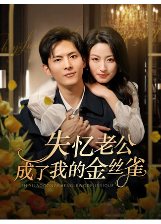дорама Амнезия любви (Shi Yi Lao Gong Cheng Le Wo De Jin Si Que: 失忆老公成了我的金丝雀) 22.07.25