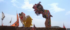 Lion vs Lion