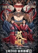 История детектива Чжан Чжао