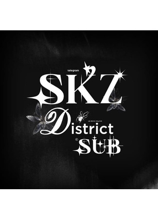 Переводчик Stray Kids District 19.08.25