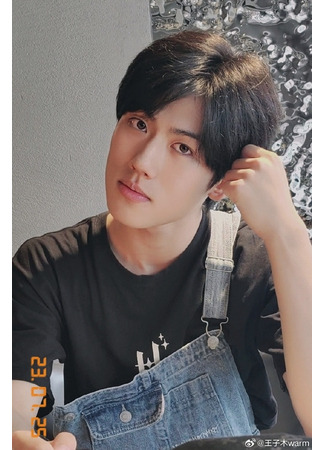 Актер Ван Цзы Му 30.08.25