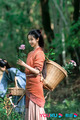 Silk-washing Stream