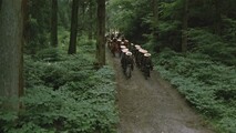 Shogun's Shadow