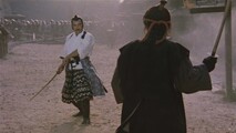 Shogun's Shadow