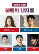 Мужской гарем